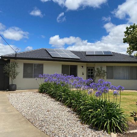Para House, Tanunda. In The Heart Of The Barossa Valley!. Villa Dış mekan fotoğraf